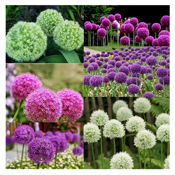 VTG~LIFE Magazine~Film Noir - Picture 14 of 16